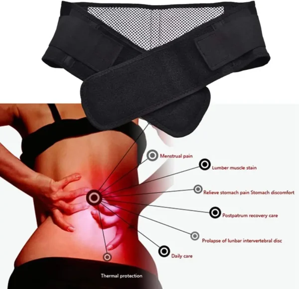Waist Trainer Belt - Magnetic Lumbar Support - Image 3